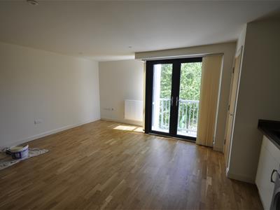 Picture 8